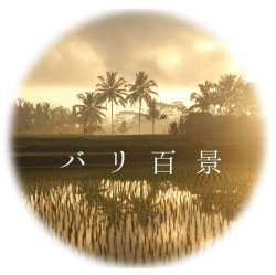 bali_photo_logo