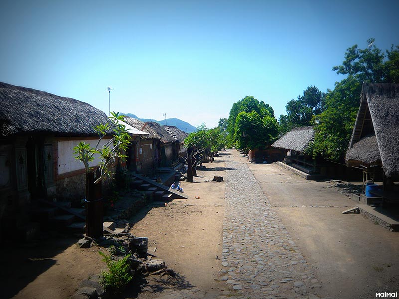 P1150528 1