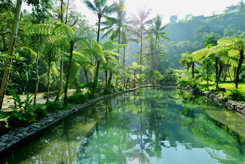 RPMA Ayung river spring water lagoon_001 S900 S