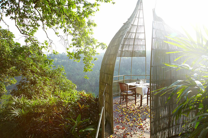 Romantic Breakfast at Bird Nest 800