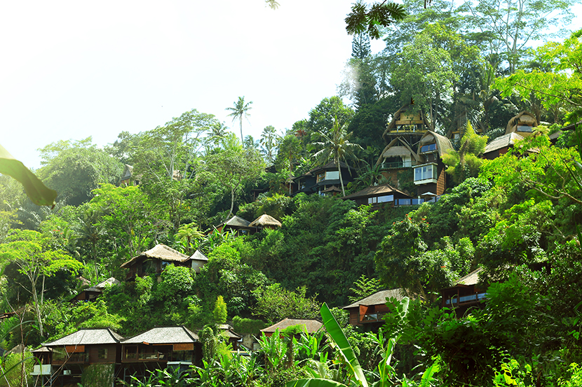 Trekking View 800