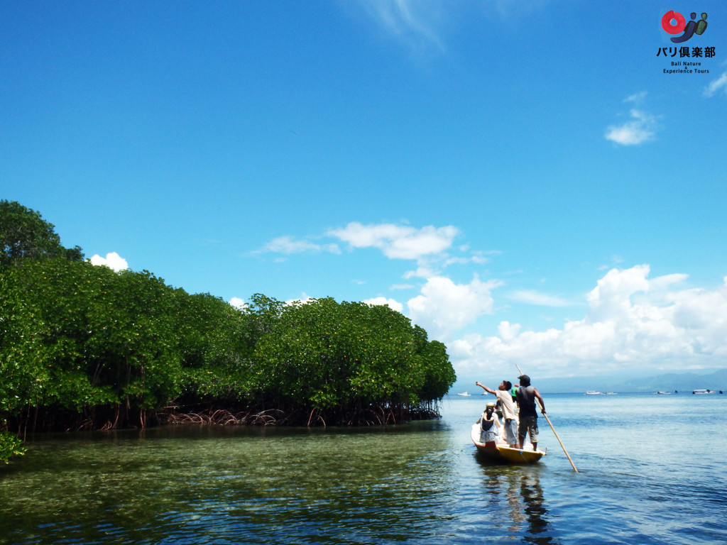 lembongan.mangrove