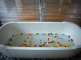 P1110373 600 300 PICASA 204