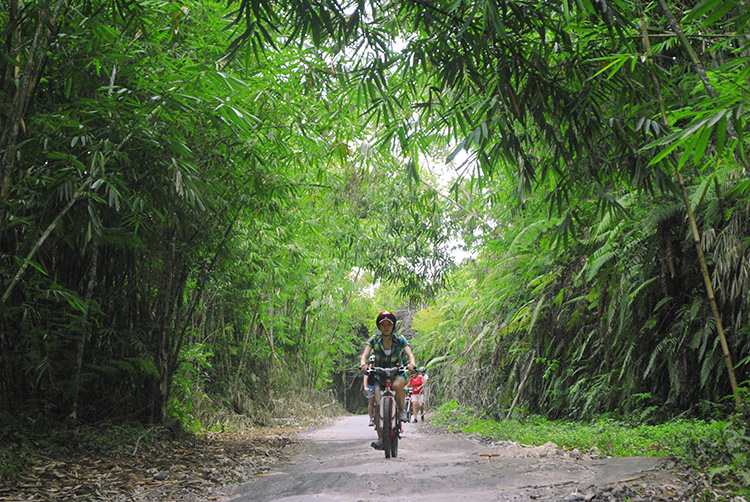 Cycling 2 750