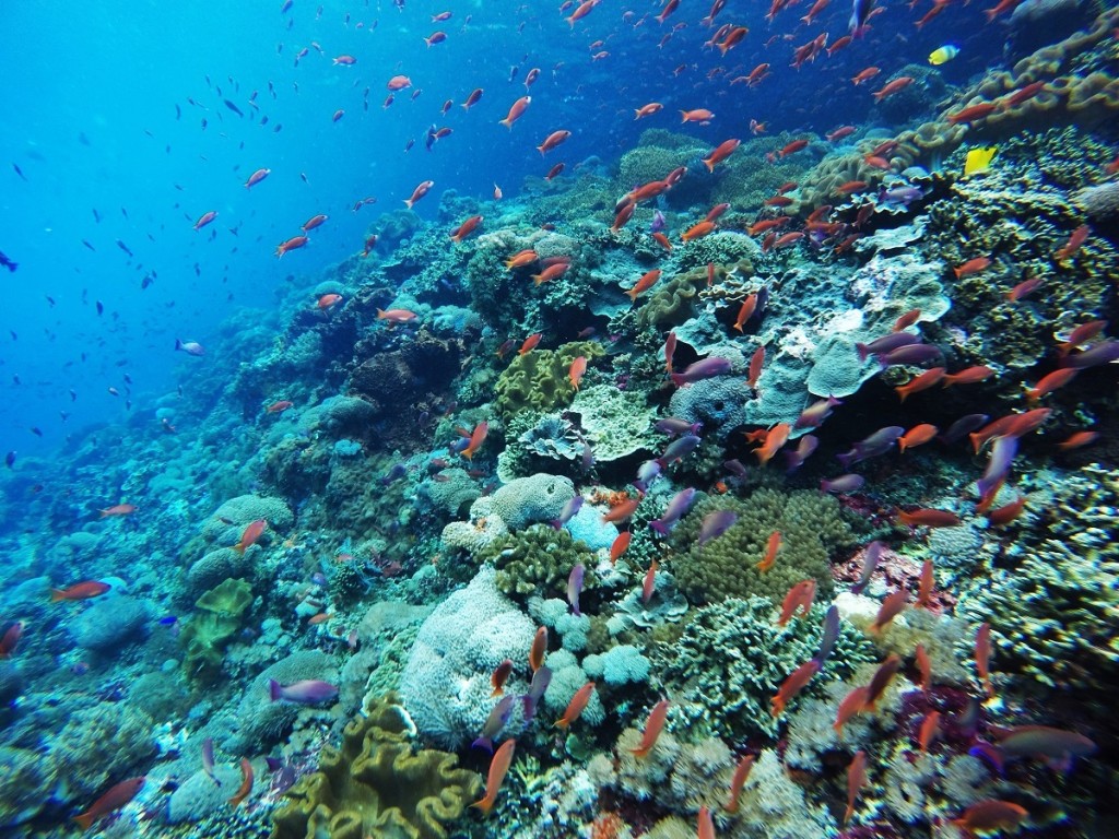 DCIM100GOPROGOPR0341.