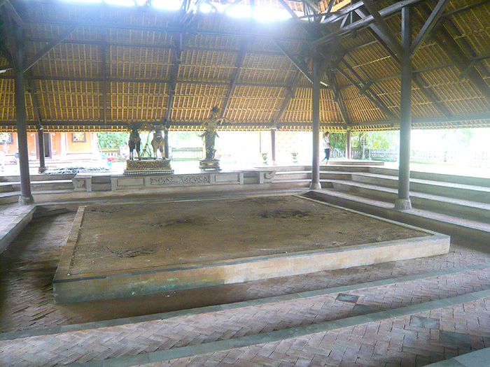 P1200219 picasa 700