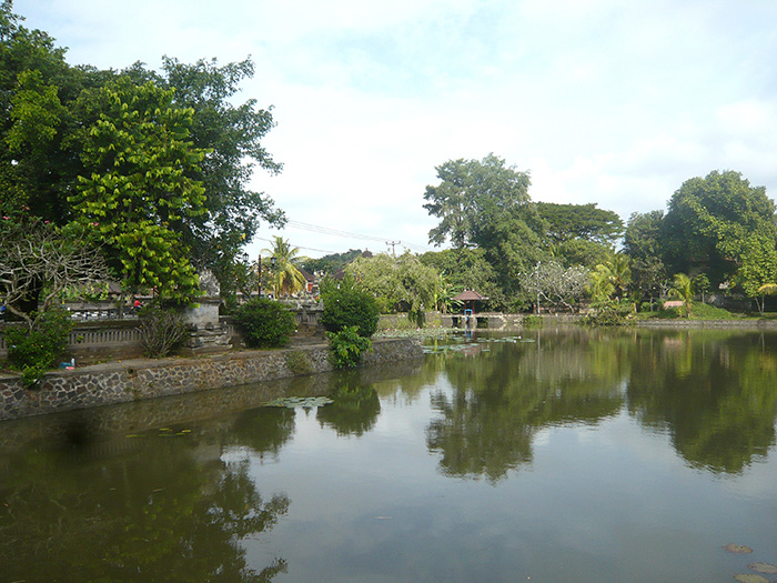 P1200244 picasa 700