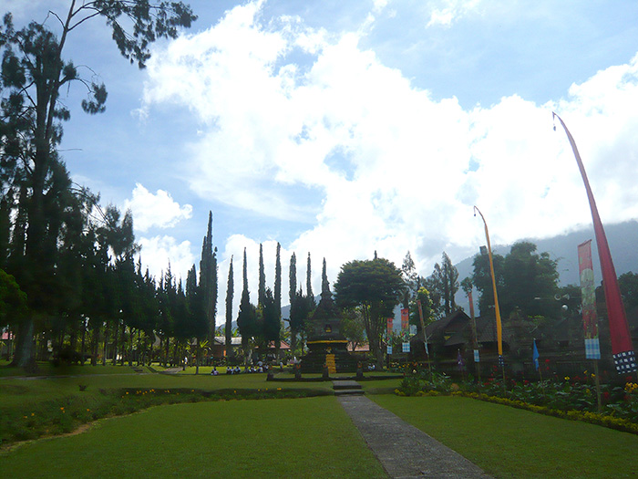 P1200270 picasa 700