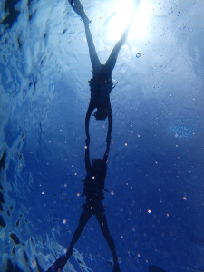 snorkel1