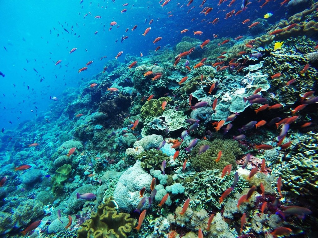 DCIM100GOPROGOPR0341.