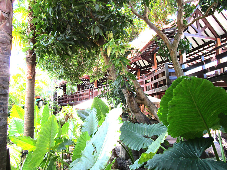 IMG_0901 PICASA 750