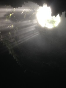 IMG_2007-e1470106311332-768x1024