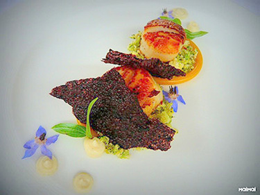 P1100981 V H FOOD1 PICASA 375 2