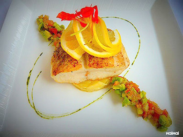 P1100985 V FOOD4 PICASA 375 2