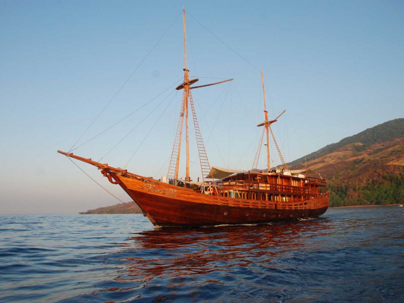 damai2-800x600