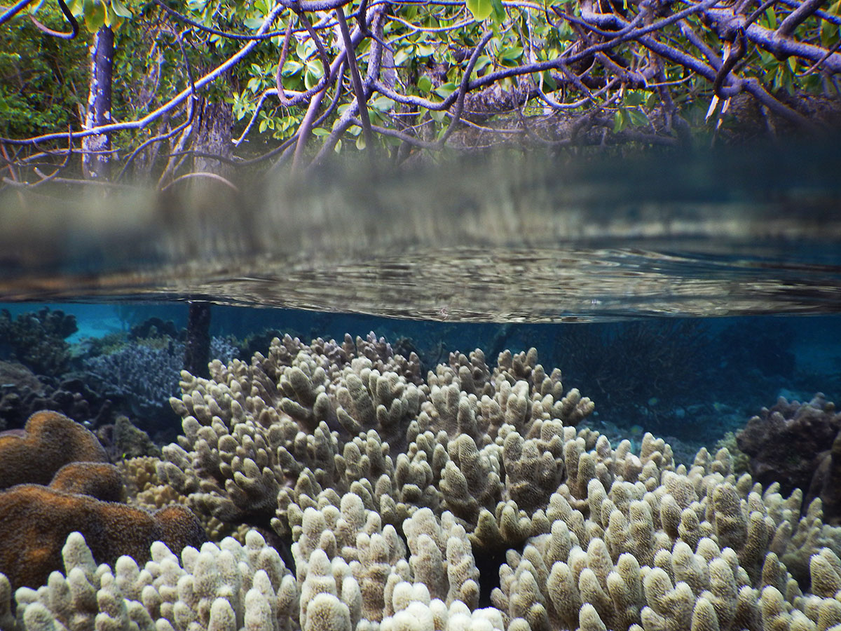 raja-ampat2