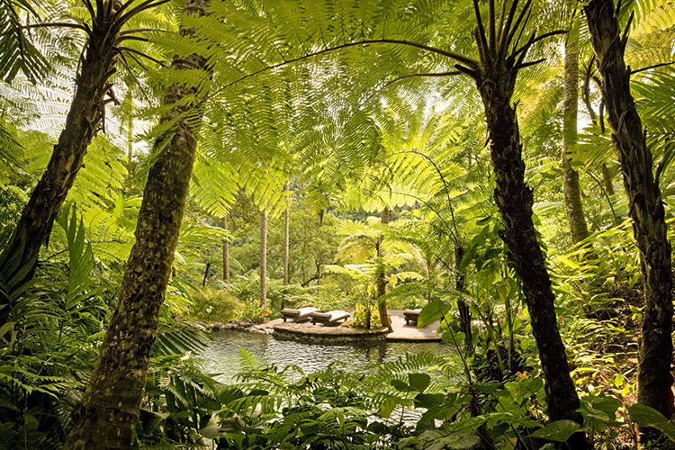 kedara-water-garden-750