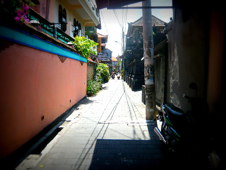 p1170206-picasa-700