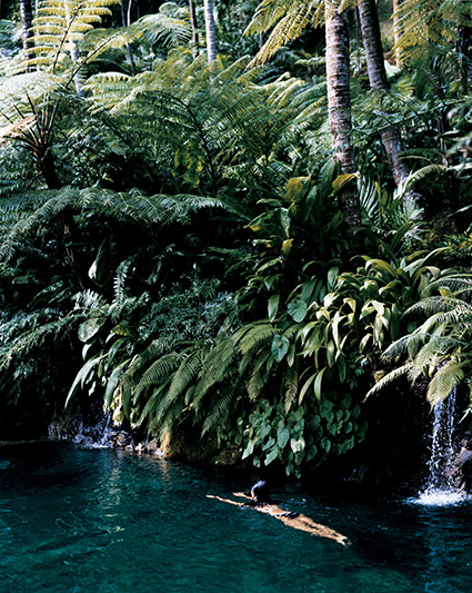 swimming-425-533