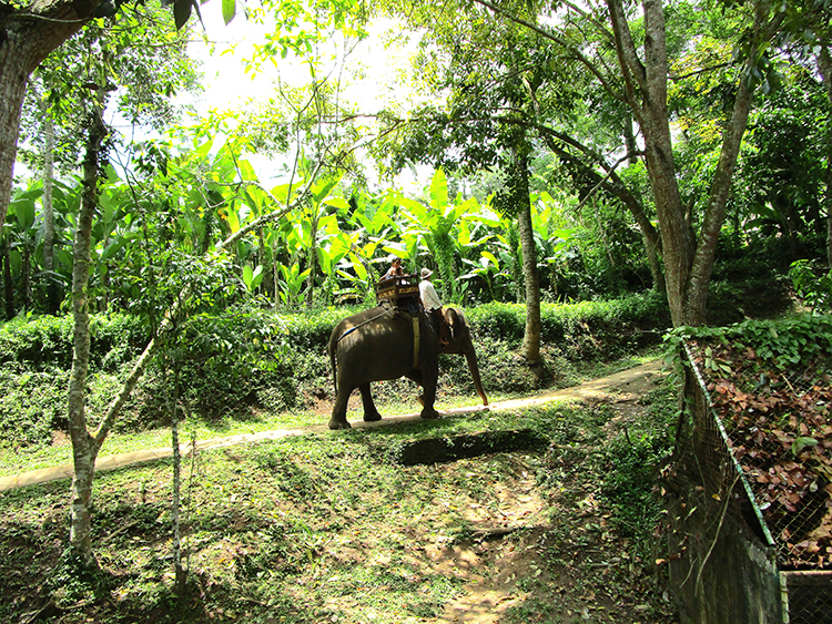 img_2265-picasa-750
