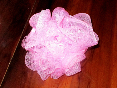 img_2500-cut-picasa