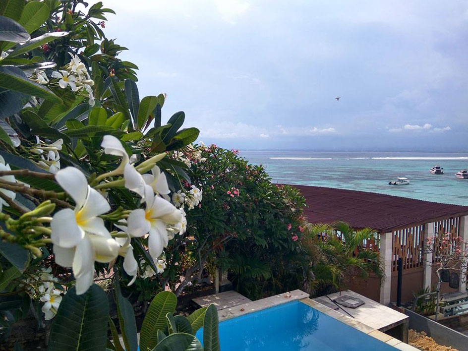 レンボンガン島のプルメリア