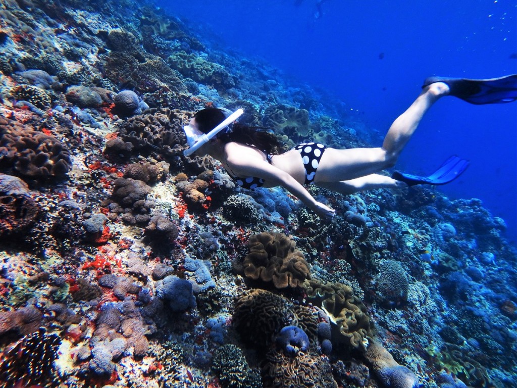 バリ島・レンボンガン島シュノーケリング専門ツアー