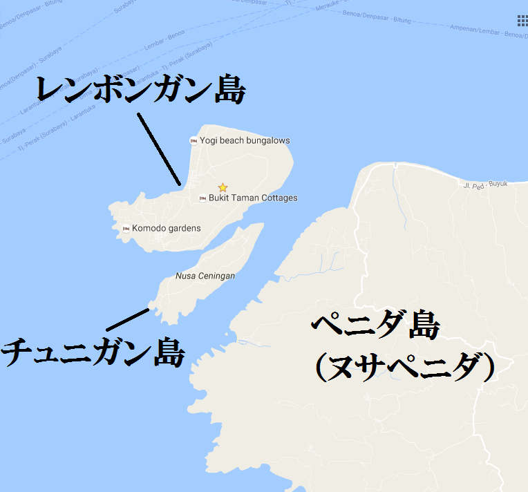 バリ島・レンボンガン島シュノーケリング専門ツアー