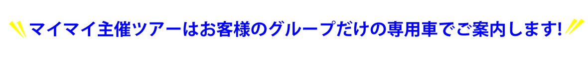 すぷりんぐ　 プライベートツアー.png