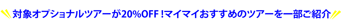 サマー　たいしょうつあー.png