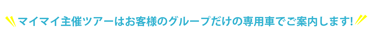 すぷりんぐ　 プライベートツアー (1).png