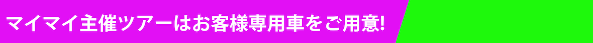 プライベートツアー.png
