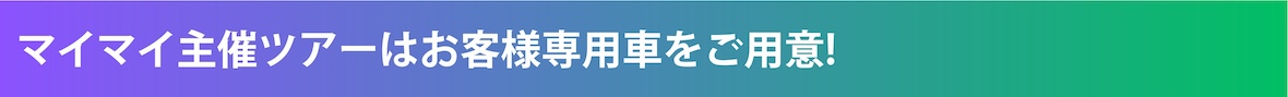 サマーFNL　とくてん せんようしゃ.jpg