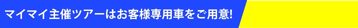 サマー　とくてん 専用車.jpg