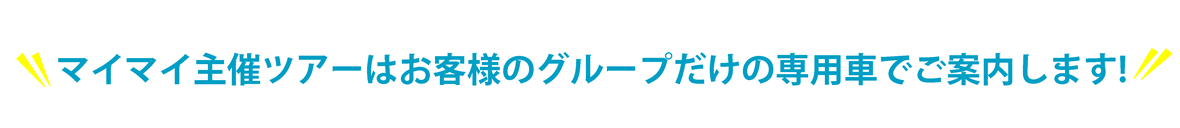 ny プライベートツアー.png