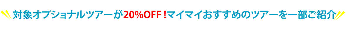 サマー たいしょうつあー.png