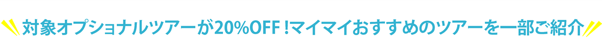 サマー　たいしょうつあー (1).png