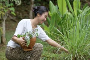 オーガニックの畑で収穫した植物でスパプロダクトを作ってみましょう。