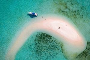 タカマカッサル