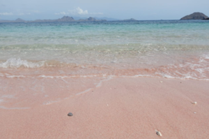ピンクビーチ