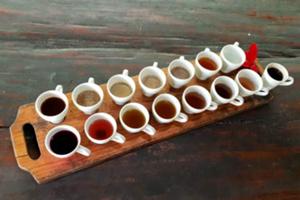 コーヒー農園 