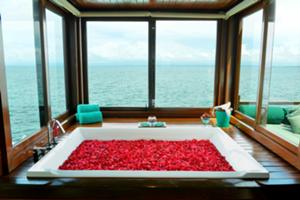 スパ オン ザ ロック