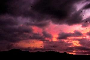 ラブハンバジョのホテルへお送りします。