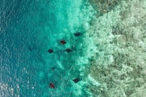 マンタポイント