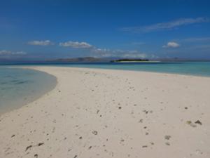 タカマカサール