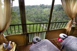 スパルームから見えるこの景色。。森の絶景No.1 スパ
